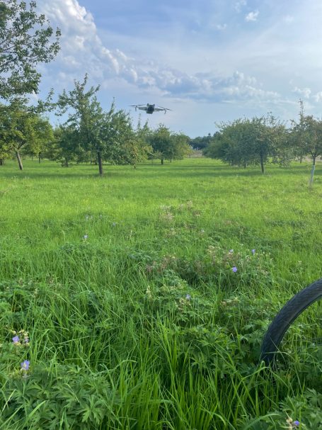Drohnenflug zur Wiesenkontrolle