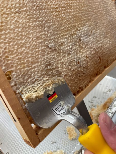 Die Wabe wird entdeckelt